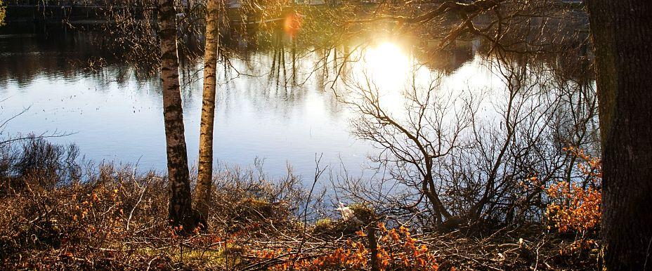 Hallången, Stora Djupasjön, Mjöasjön, Bredasjön - Image 1