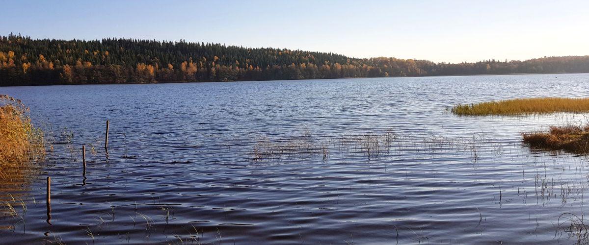 Norra Simmesjöns FVOF - Image 1