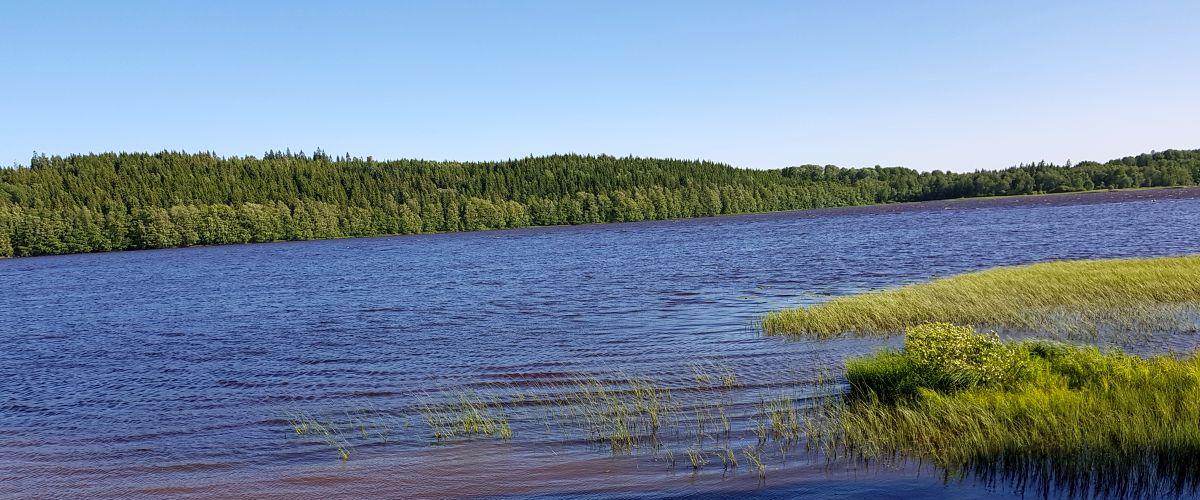 Norra Simmesjöns FVOF - Image 2