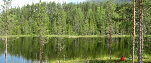 Hån-Vemdalens FVOF - Image 6