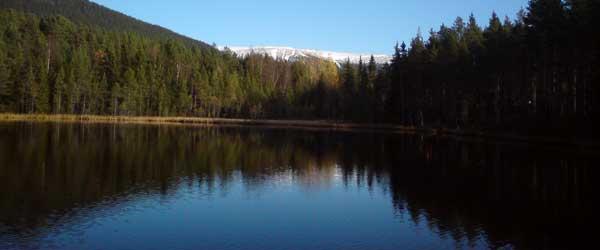 Hån-Vemdalens FVOF - Image 7