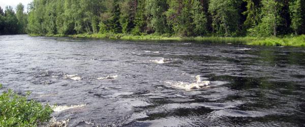 Hån-Vemdalens FVOF - Image 12