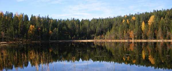 Hån-Vemdalens FVOF - Image 13