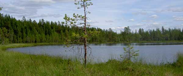 Hån-Vemdalens FVOF - Image 14