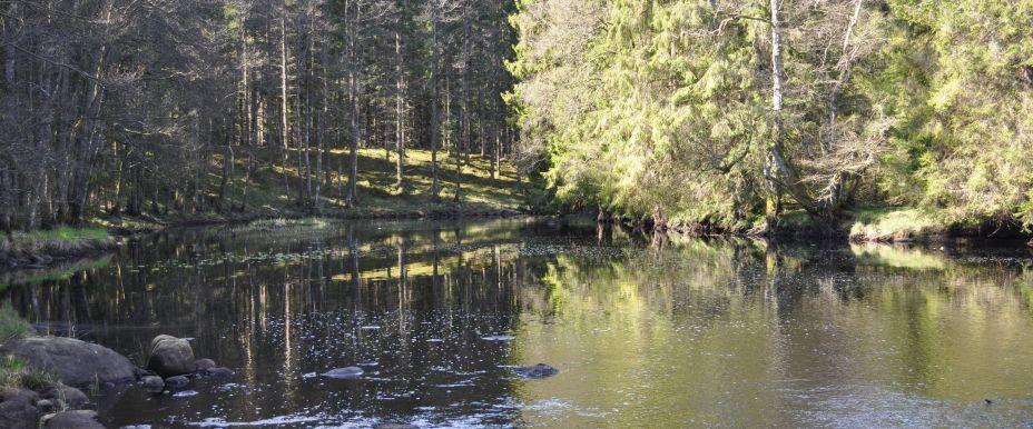 Dalstorpasjön - Image 3