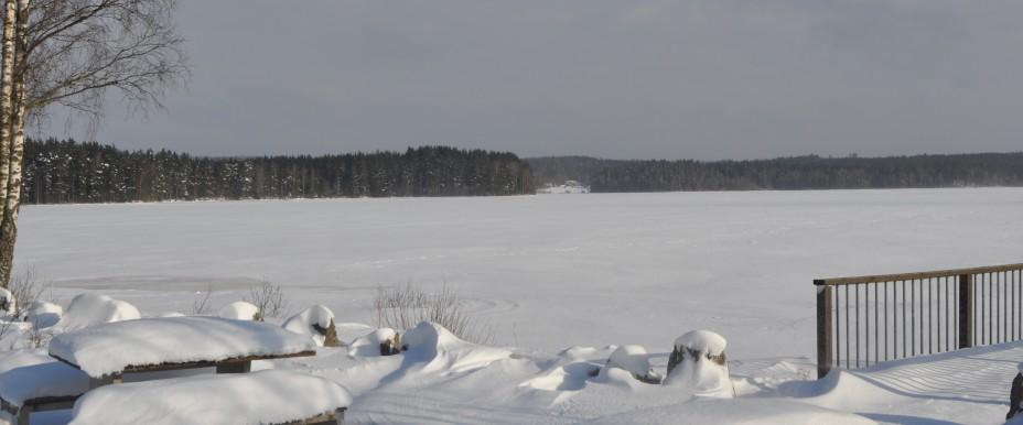 Dalstorpasjön - Image 5