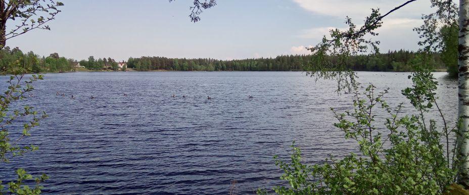 Lagmanshagasjön m fl sjöar - Image 1