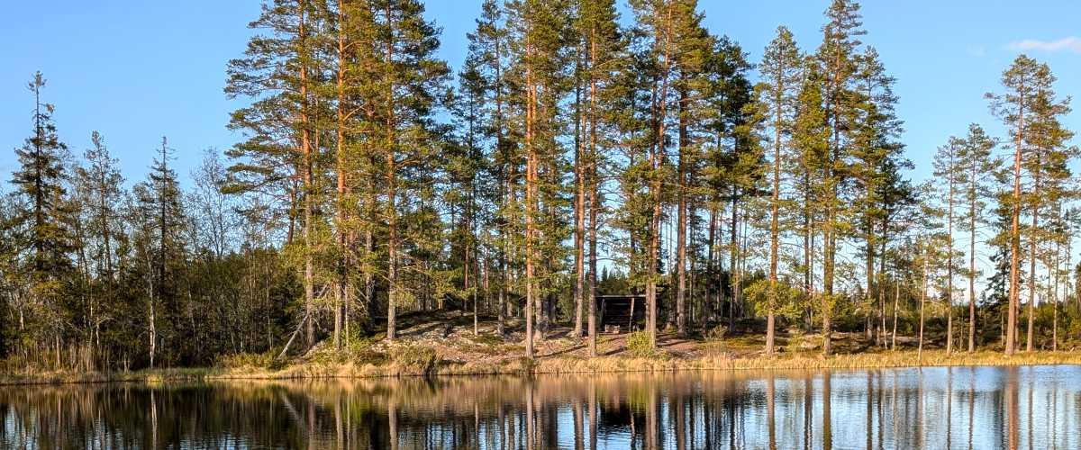 Ljunga Södra FVOF  (Ljunga Södra) - Image 2