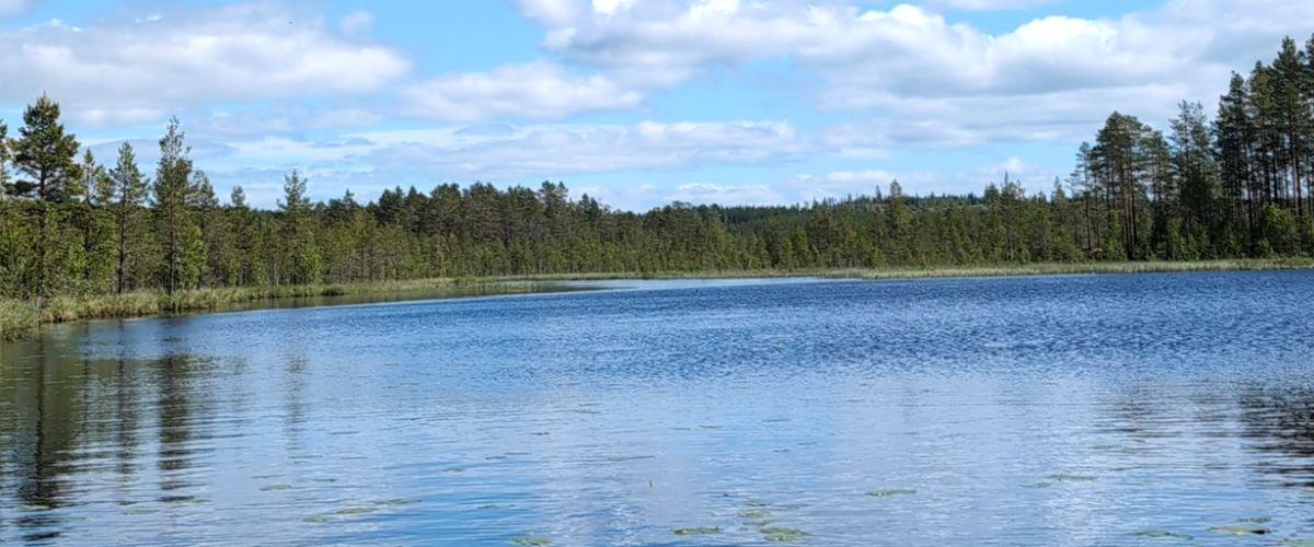 Ljunga Södra FVOF  (Ljunga Södra) - Image 3