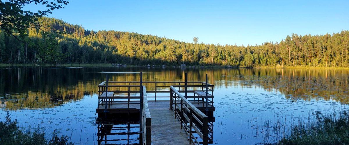 Komsta Åse FVO Gottjärn, Andalstjärn, Hökåstjärn, Skinnsjöarna mfl. - Image 4