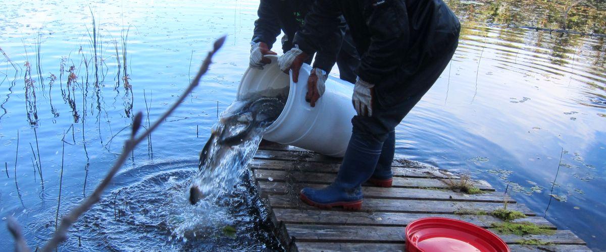 Komsta Åse FVO Gottjärn, Andalstjärn, Hökåstjärn, Skinnsjöarna mfl. - Image 2
