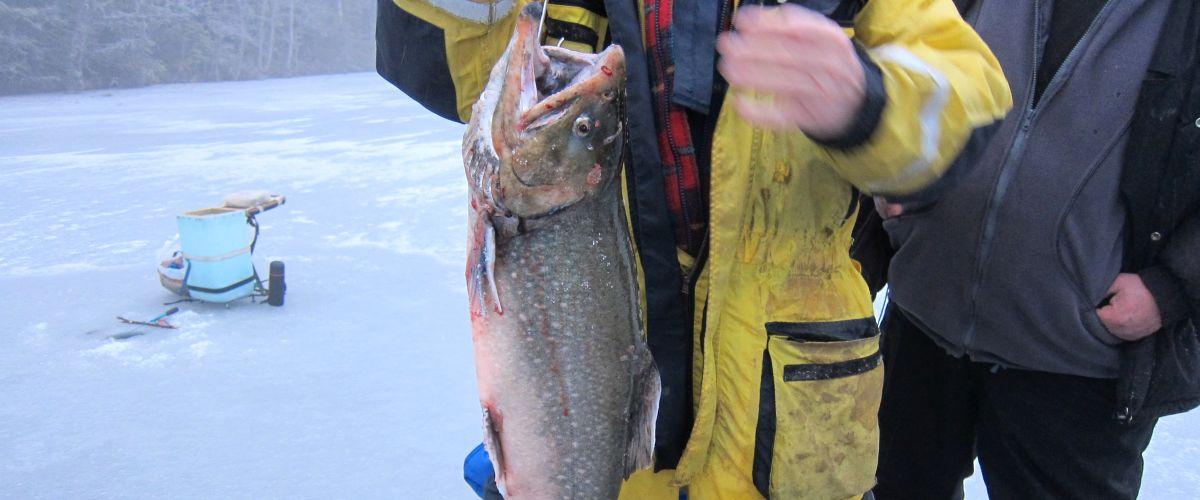 Komsta Åse FVO Gottjärn, Andalstjärn, Hökåstjärn, Skinnsjöarna mfl. - Image 3