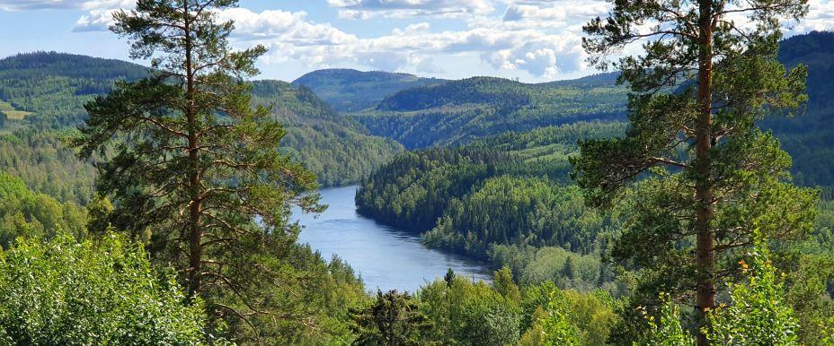 Indalsälven, Kråkstensjön, Mussjön, Vackerlandån, Kvarnån  - Image 3