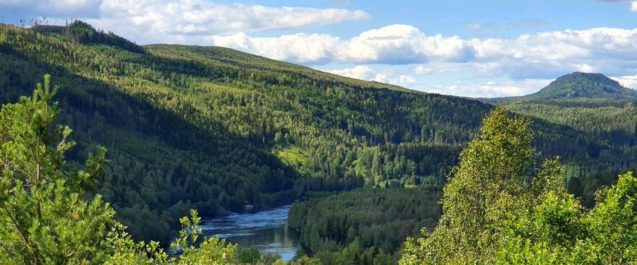 Indalsälven, Kråkstensjön, Mussjön, Vackerlandån, Kvarnån  - Image 4