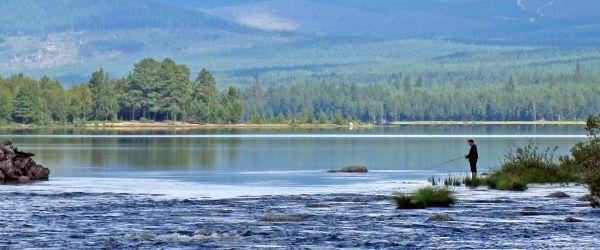 Linsell-Ransjö - Image 4