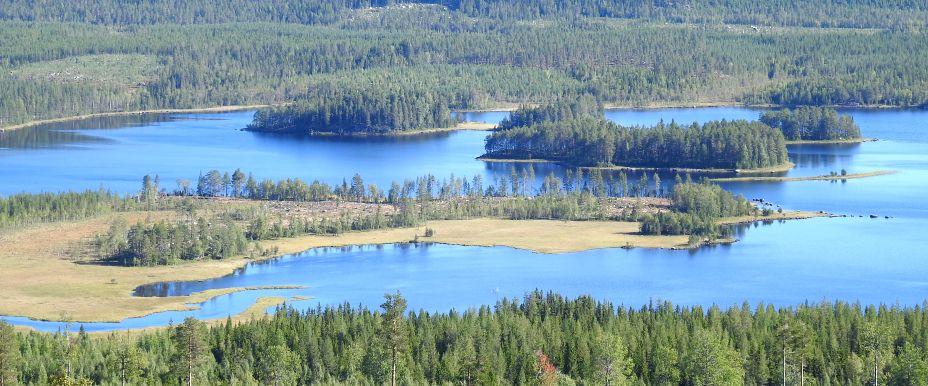Storborgaren, Västborgaren, Storselssjön mfl - Image 3