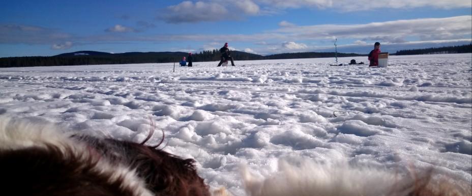 Storborgaren, Västborgaren, Storselssjön mfl - Image 6