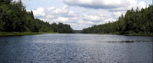 Sidlångens FVOF - Image 2