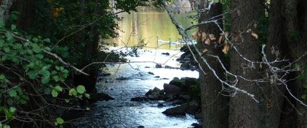 Tyresö - Image 4