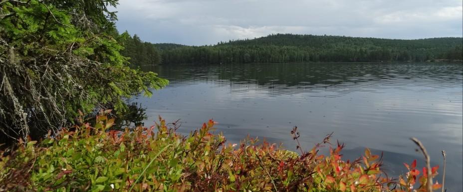 Emån, Järnsjön, Oppsjön m fl sjöar - Image 1