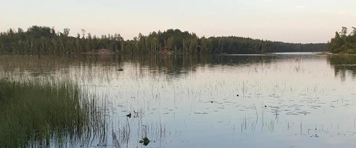 Mossjön i Kalmar län - Image 1