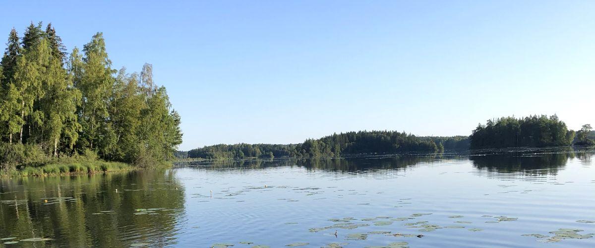 Norra delen av Törn en tidig Julidag 2019