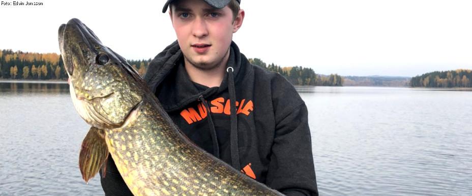 Usken, Aspen och Södra Brunnsjön - Image 1