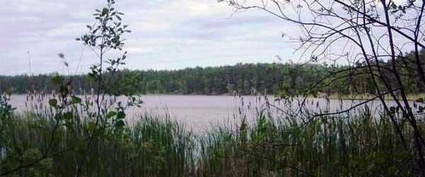 Översjön - Image 2