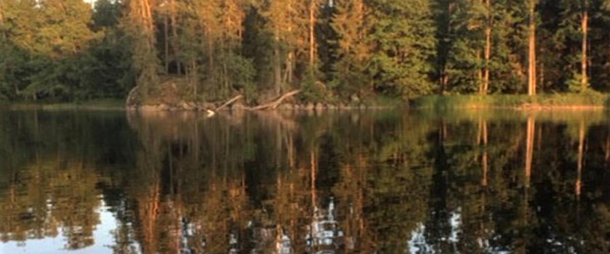Vedevågssjön, Vågaren, Högstabosjön - Image 1