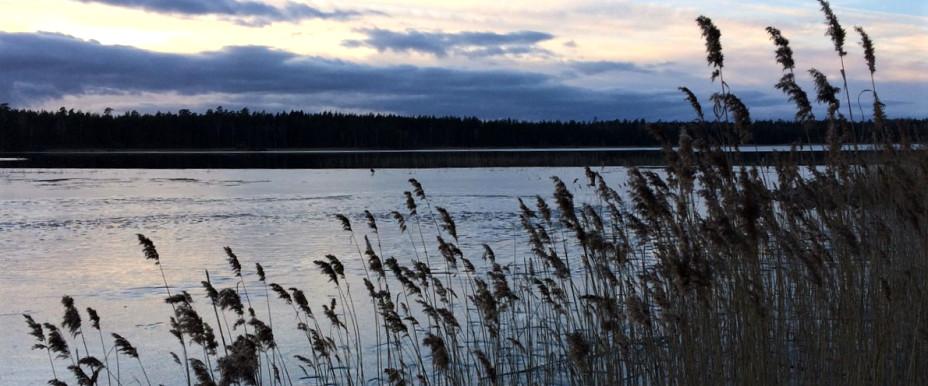 Linnerydssjön, Rolsmosjön - Image 1