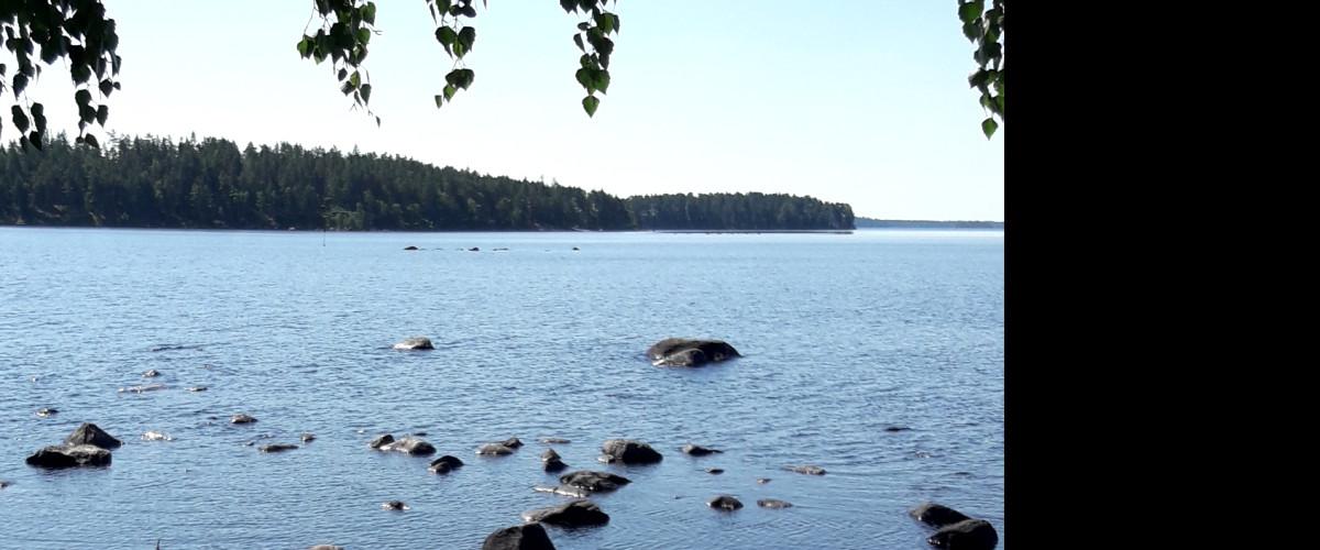 Utsikt från en ö