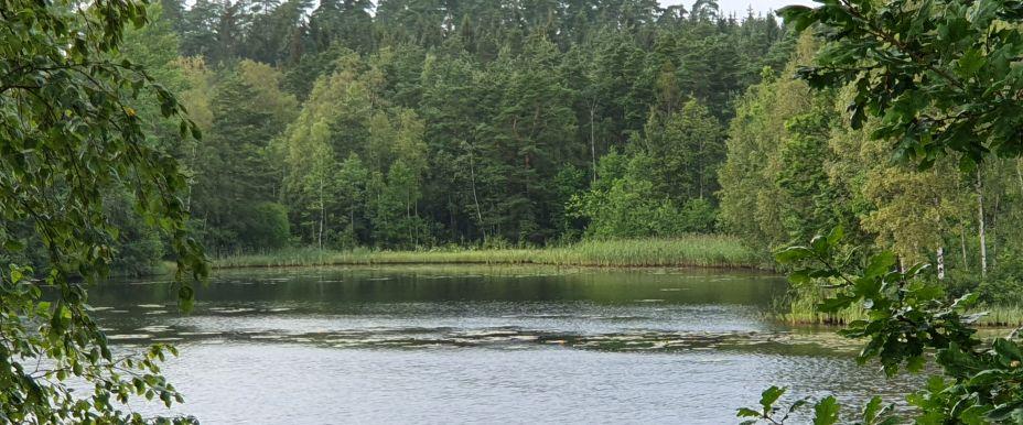 Hammarsjön, Lagaån - Image 2