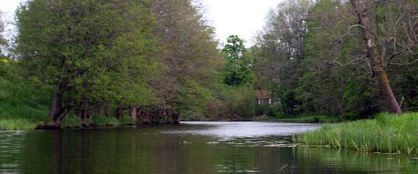 Photo of Svartån (Västerlösa-Älvestad)