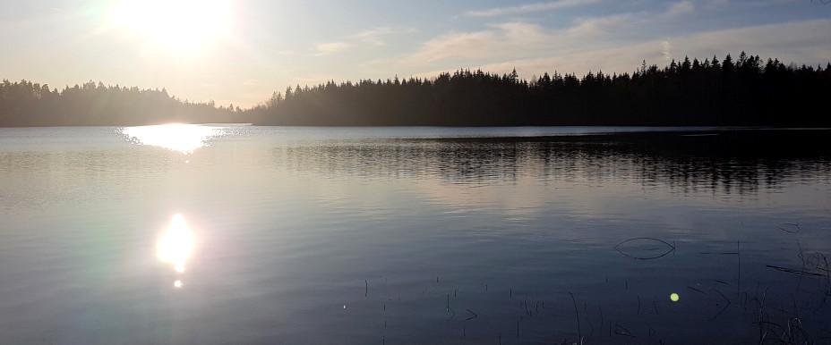 Mjuasjön - Område 3