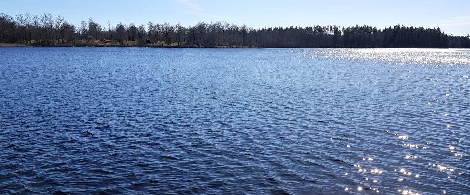 Mjuasjön - Område 3