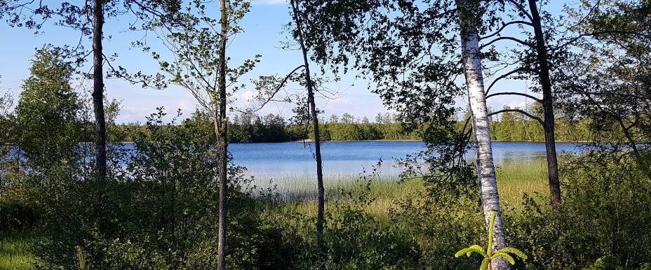 Sävsjön - Område 3