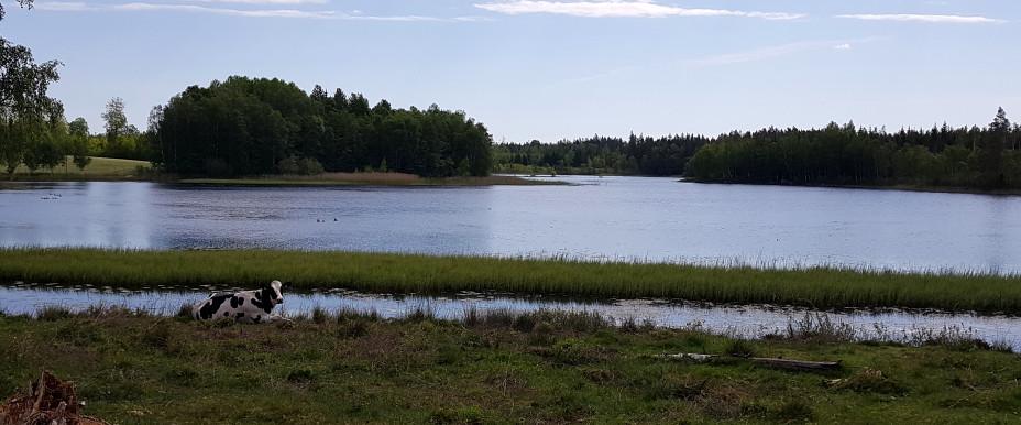 Yasjön -  Område 2