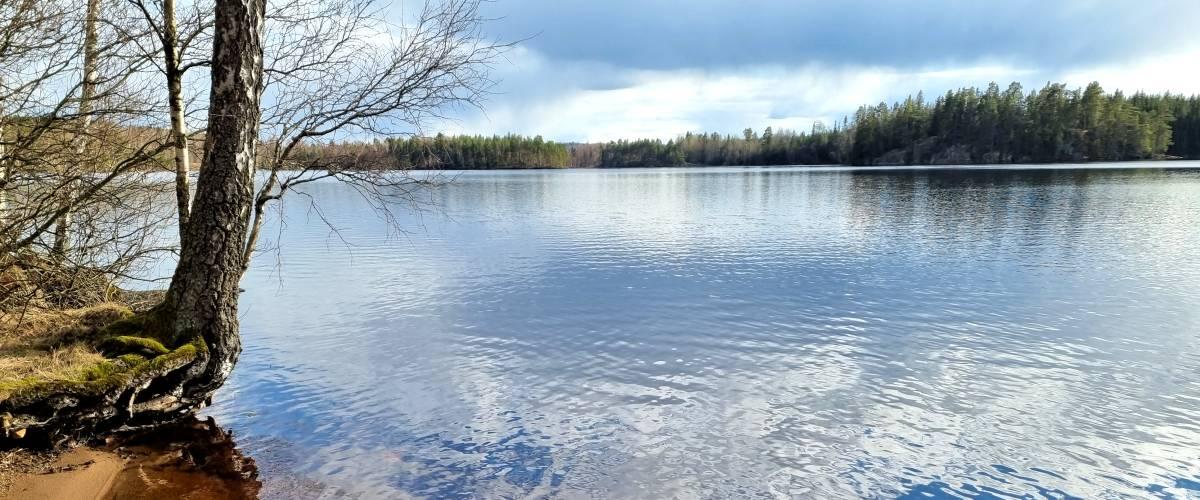 Boskvarnasjön, Lillesjön - Image 2