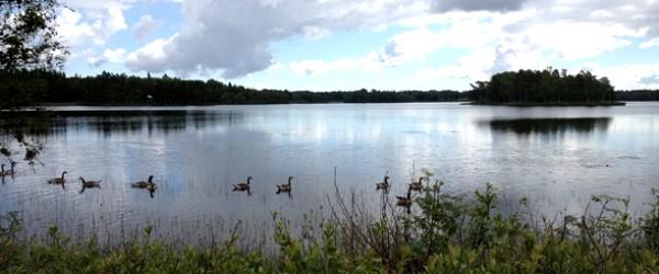 Össjöasjön, Gummestasjön, Hampsjön - Image 2