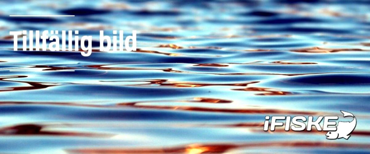 Lidhults Södra - Image 1