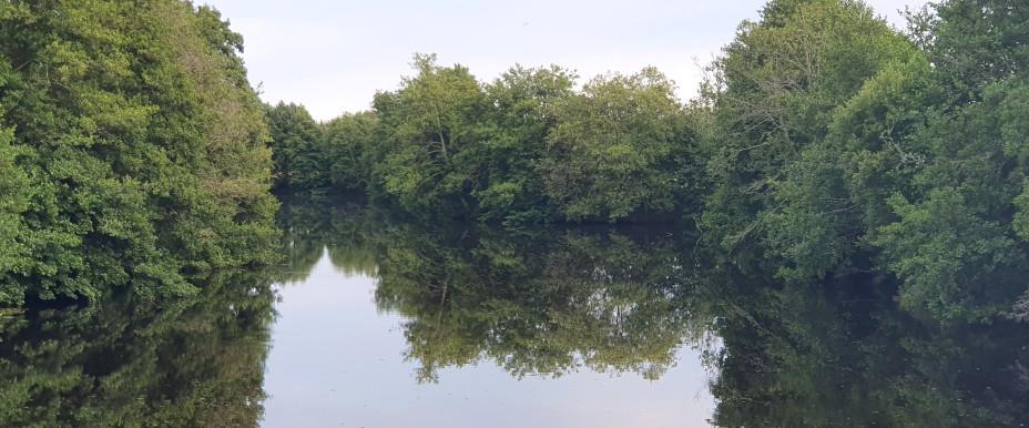 Lagan och Trarydsdammen - Image 1