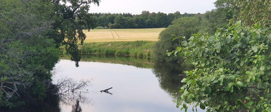 Lagan och Trarydsdammen - Image 2