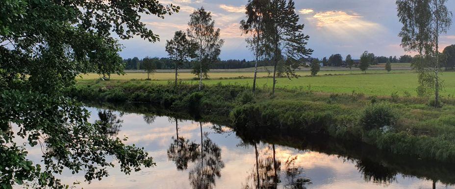 Lagan och Trarydsdammen - Image 3