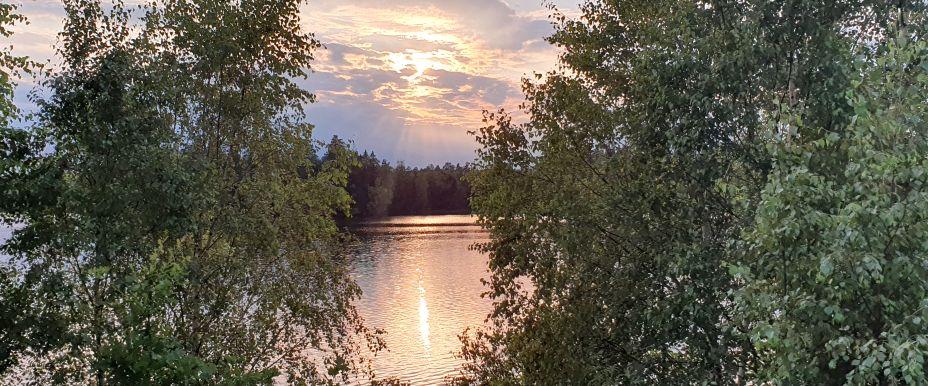 Lagan och Trarydsdammen - Image 5