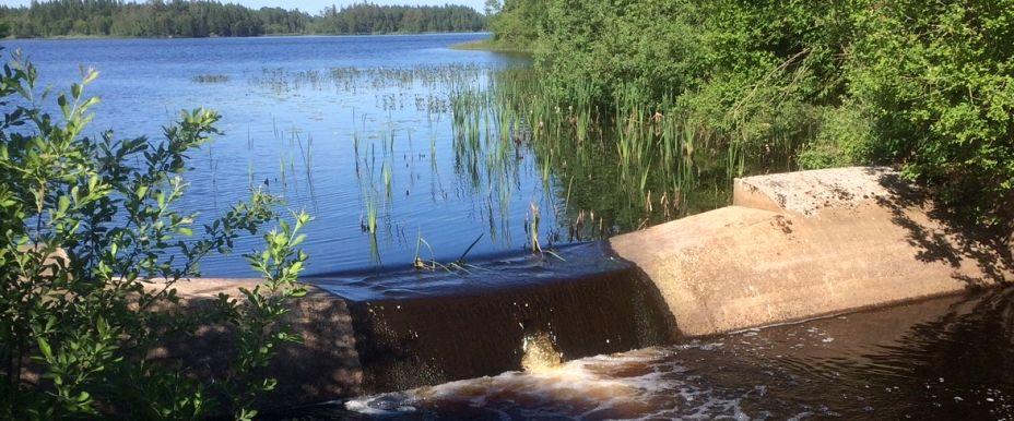 Självreglerande stämme vi utloppet