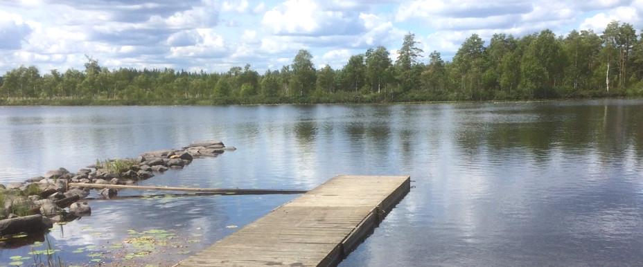 Linnebjörkesjön - Image 1