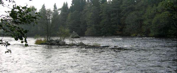 Bolmåns FVOF - Image 1