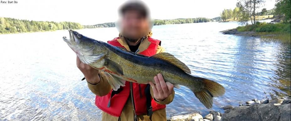 Häresjön - Image 2