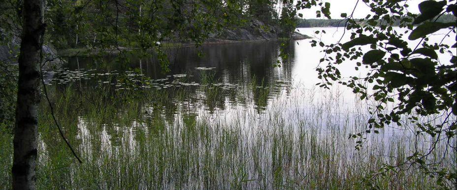 Södra Kornsjön - Image 1