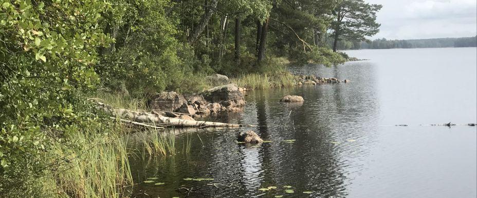 Årsjön, Holmsjön och Grönsjön - Image 2